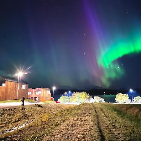 Villa Nordheim Tromsø Exteriör bild